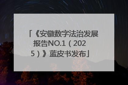 《安徽数字法治发展报告NO.1（2025）》蓝皮书发布
