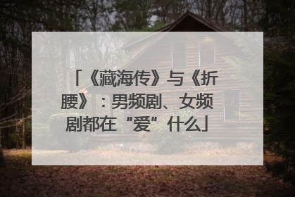 《藏海传》与《折腰》：男频剧、女频剧都在“爱”什么