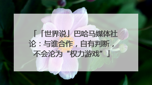 「世界说」巴哈马媒体社论：与谁合作，自有判断，不会沦为“权力游戏”