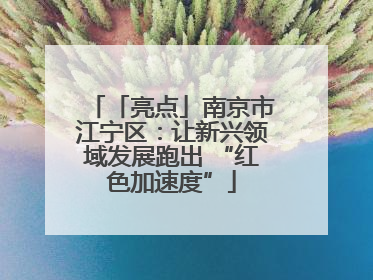 「亮点」南京市江宁区：让新兴领域发展跑出 “红色加速度”