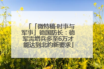 「微特稿·时事与军事」德国防长：德军需增兵多至6万才能达到北约新要求