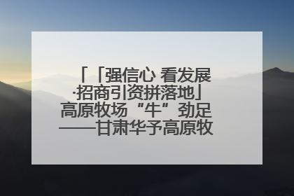 「强信心 看发展·招商引资拼落地」高原牧场“牛”劲足——甘肃华予高原牧场高标准奶牛肉牛养殖项目一线见闻