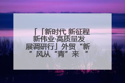 「新时代 新征程 新伟业·高质量发展调研行」外贸“新”风从“青”来 “双向奔赴”启新程