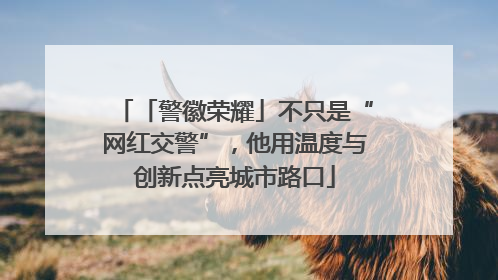「警徽荣耀」不只是“网红交警”，他用温度与创新点亮城市路口