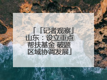 「记者观察」山东：设立重点帮扶基金 破题区域协调发展