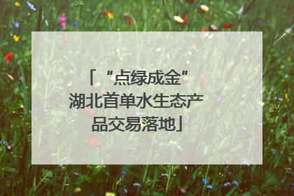 “点绿成金” 湖北首单水生态产品交易落地