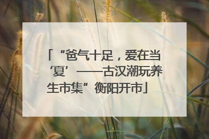 “爸气十足，爱在当‘夏’——古汉潮玩养生市集”衡阳开市
