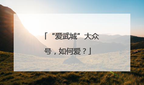 “爱武城”大众号，如何爱？