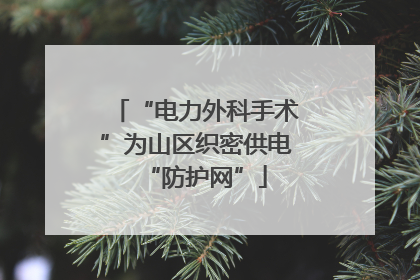 “电力外科手术”为山区织密供电“防护网”