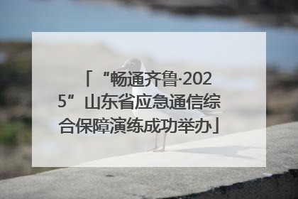 “畅通齐鲁·2025”山东省应急通信综合保障演练成功举办