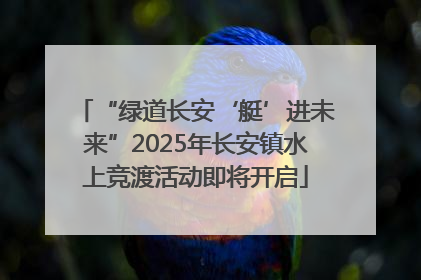 “绿道长安‘艇’进未来”2025年长安镇水上竞渡活动即将开启