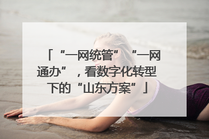 “一网统管”“一网通办”，看数字化转型下的“山东方案”