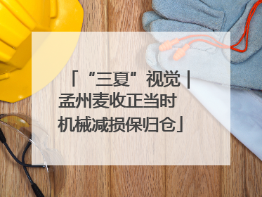 “三夏”视觉｜孟州麦收正当时 机械减损保归仓