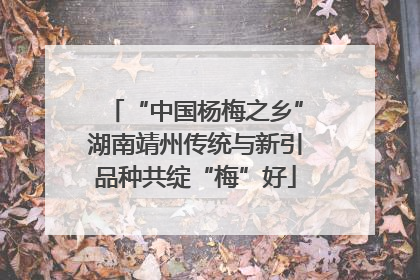 “中国杨梅之乡”湖南靖州传统与新引品种共绽“梅”好