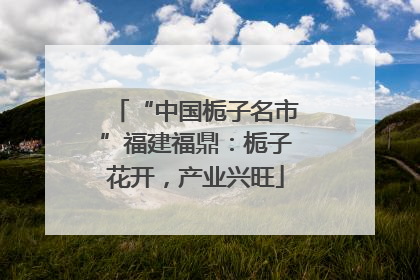 “中国栀子名市”福建福鼎：栀子花开，产业兴旺