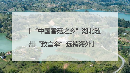 “中国香菇之乡”湖北随州“致富伞”远销海外