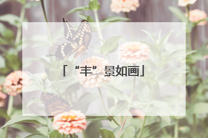 “丰”景如画