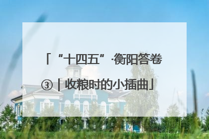 “十四五”·衡阳答卷③｜收粮时的小插曲