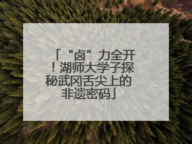 “卤”力全开！湖师大学子探秘武冈舌尖上的非遗密码