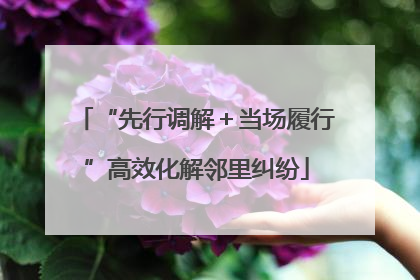 “先行调解＋当场履行”高效化解邻里纠纷