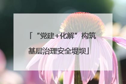 “党建+化解”构筑基层治理安全堤坝