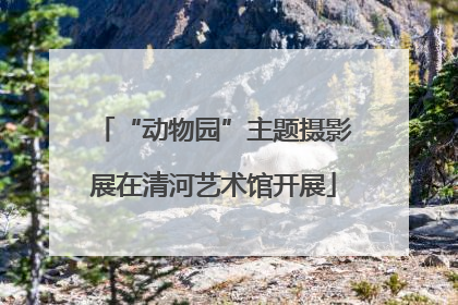 “动物园”主题摄影展在清河艺术馆开展