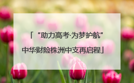 “助力高考·为梦护航”中华财险株洲中支再启程
