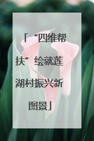 “四维帮扶”绘就莲湖村振兴新图景
