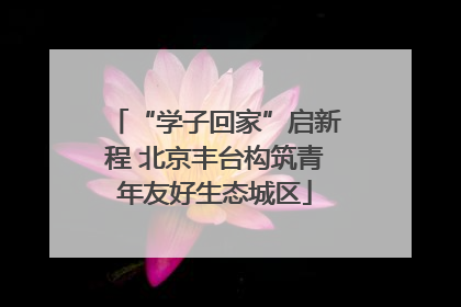 “学子回家”启新程 北京丰台构筑青年友好生态城区