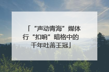 “声动青海”媒体行“扣响”暗格中的千年吐蕃王冠