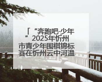 “奔跑吧·少年”2025年忻州市青少年围棋锦标赛在忻州云中河温泉旅游度假区圆满举办