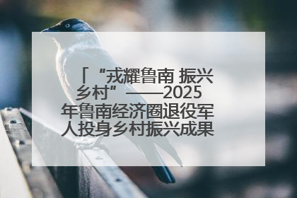 “戎耀鲁南 振兴乡村”——2025年鲁南经济圈退役军人投身乡村振兴成果展销会盛大启幕