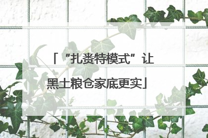 “扎赉特模式”让黑土粮仓家底更实