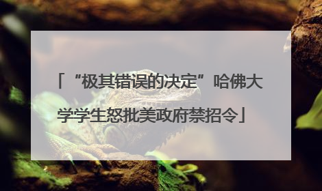 “极其错误的决定”哈佛大学学生怒批美政府禁招令