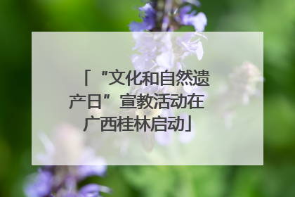 “文化和自然遗产日”宣教活动在广西桂林启动