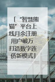 “智慧熊猫”平台上线月余注册用户破万 打造数字连侨新模式