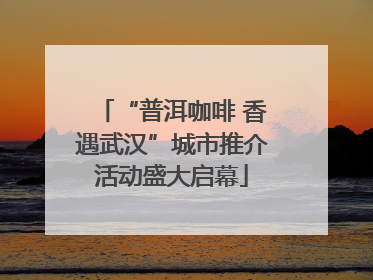 “普洱咖啡 香遇武汉”城市推介活动盛大启幕