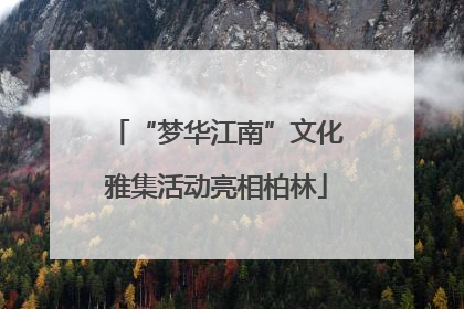 “梦华江南”文化雅集活动亮相柏林