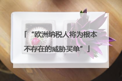 “欧洲纳税人将为根本不存在的威胁买单”
