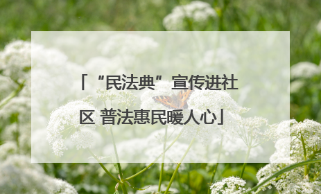 “民法典”宣传进社区 普法惠民暖人心