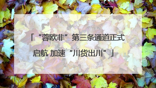 “蓉欧非”第三条通道正式启航 加速“川货出川”