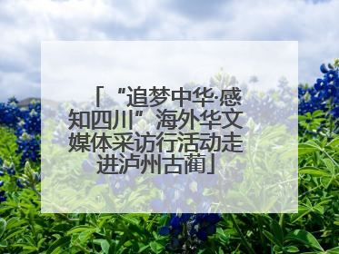“追梦中华·感知四川”海外华文媒体采访行活动走进泸州古蔺