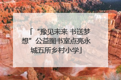 “豫见未来 书送梦想”公益图书室点亮永城五所乡村小学