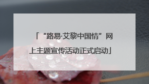 “路易·艾黎中国情”网上主题宣传活动正式启动