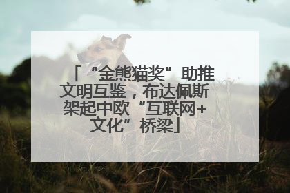 “金熊猫奖”助推文明互鉴，布达佩斯架起中欧“互联网+文化”桥梁