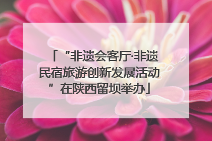 “非遗会客厅·非遗民宿旅游创新发展活动”在陕西留坝举办