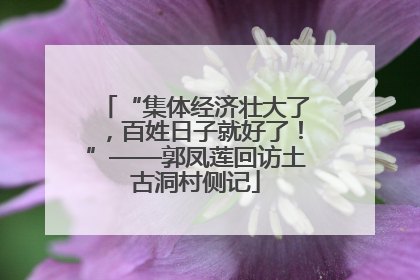 “集体经济壮大了，百姓日子就好了！”——郭凤莲回访土古洞村侧记