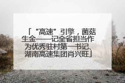 “高速”引擎，菌菇生金——记全省担当作为优秀驻村第一书记、湖南高速集团肖兴旺