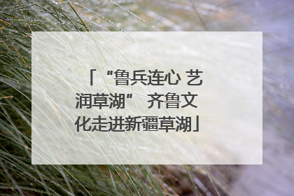 “鲁兵连心 艺润草湖” 齐鲁文化走进新疆草湖