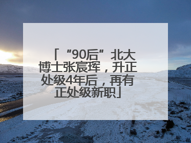 “90后”北大博士张宸珲，升正处级4年后，再有正处级新职